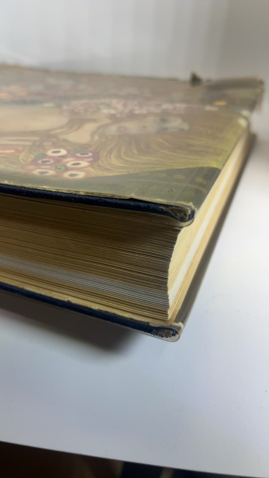 Gustav Klimt by Fritz Novotny, Johannes Dobai - quarter view showing binding condition