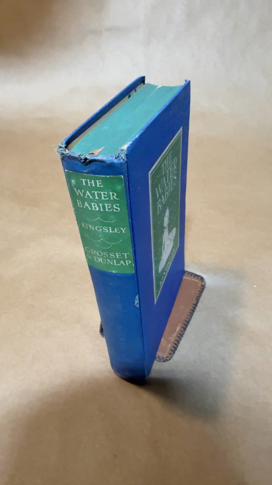 The Water-Babies by Charles Kingsley - quarter view showing binding condition