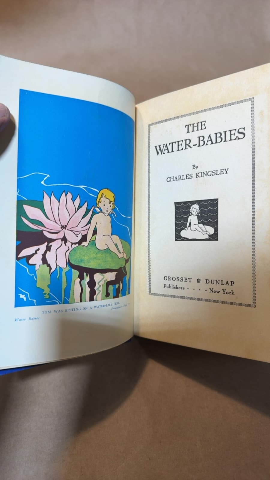 The Water-Babies by Charles Kingsley - title page