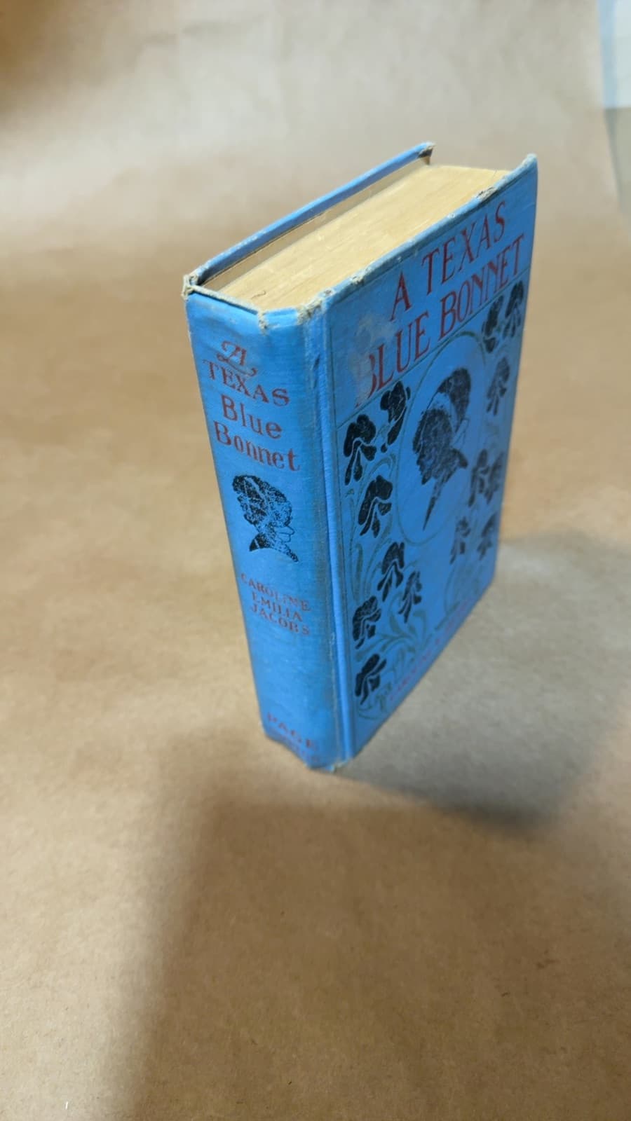 A Texas Blue Bonnet by Caroline Emilia Jacobs (Emilia Elliott) - quarter view showing binding condition