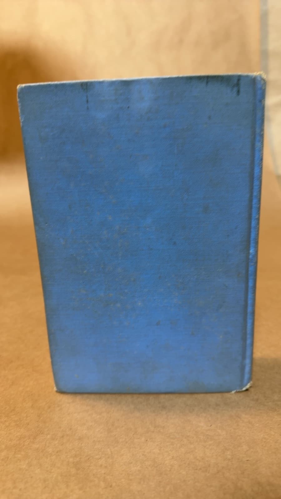 A Texas Blue Bonnet by Caroline Emilia Jacobs (Emilia Elliott) - additional view