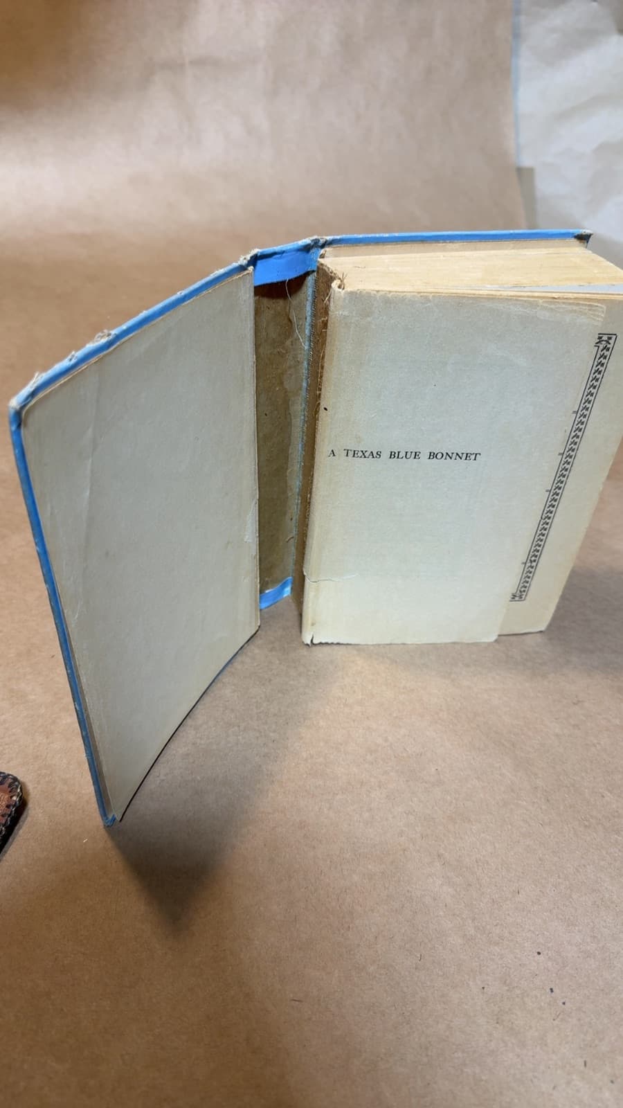 A Texas Blue Bonnet by Caroline Emilia Jacobs (Emilia Elliott) - additional view