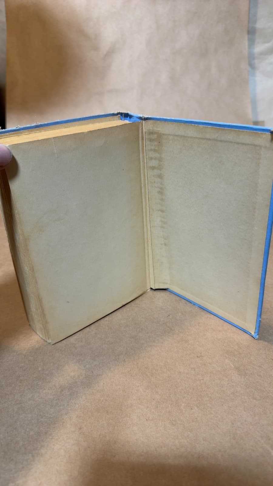 A Texas Blue Bonnet by Caroline Emilia Jacobs (Emilia Elliott) - additional view