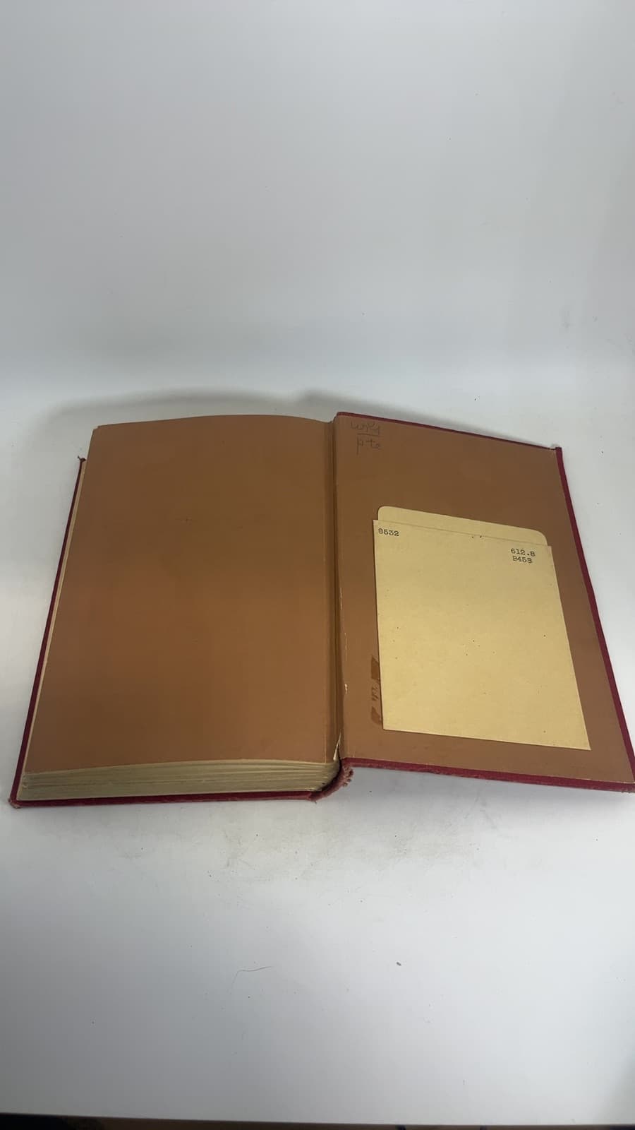 The Five Senses of Man by Julius Bernstein - additional view