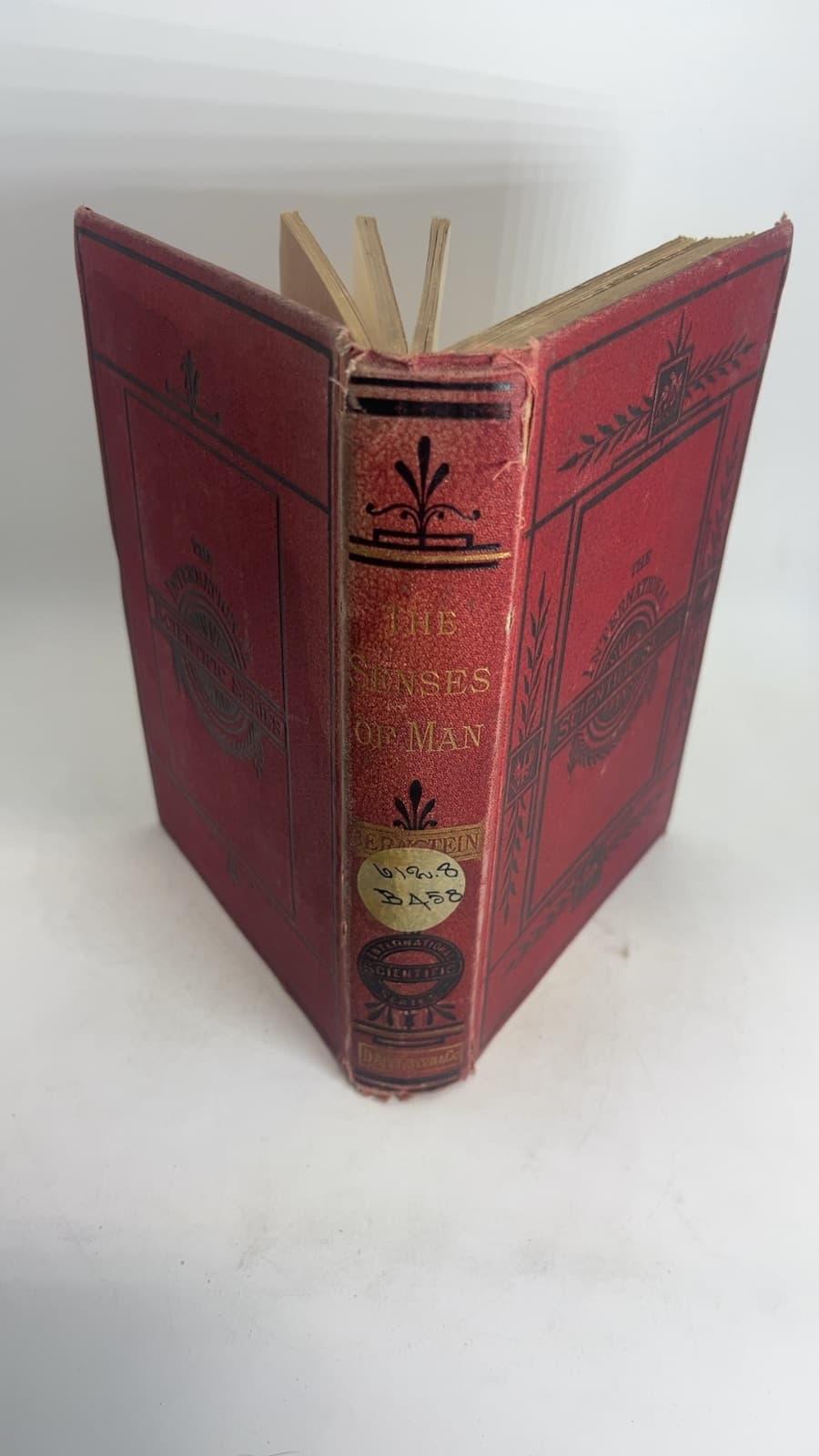 The Five Senses of Man by Julius Bernstein - additional view
