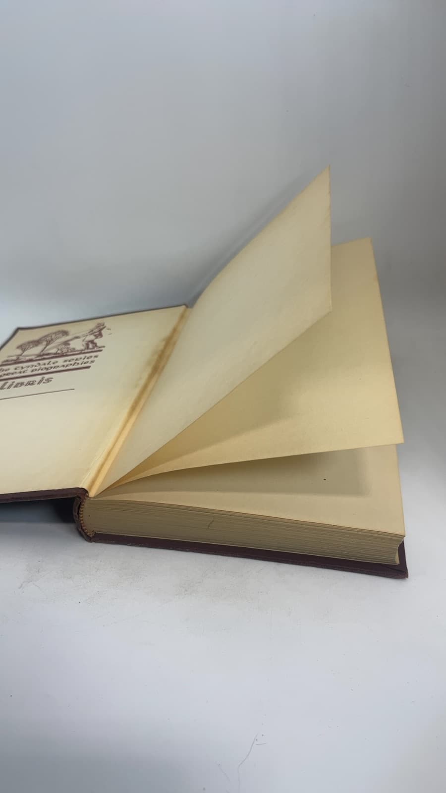 Henry Martyn: Confessor of the Faith by Constance E. Padwick - additional view