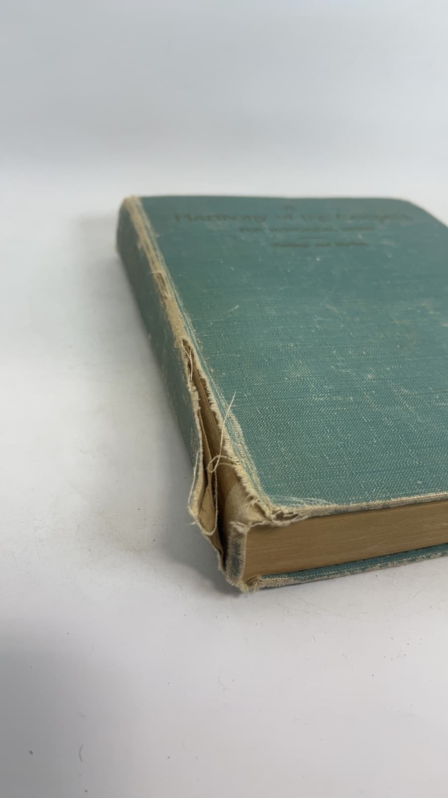 A Harmony of the Gospels for Historical Study by Wm. Arnold Stevens and Ernest DeWitt Burton - additional view