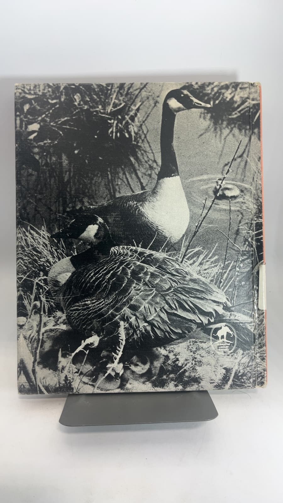 The Tale of the Wild Goose by Henry B. Kane - additional view