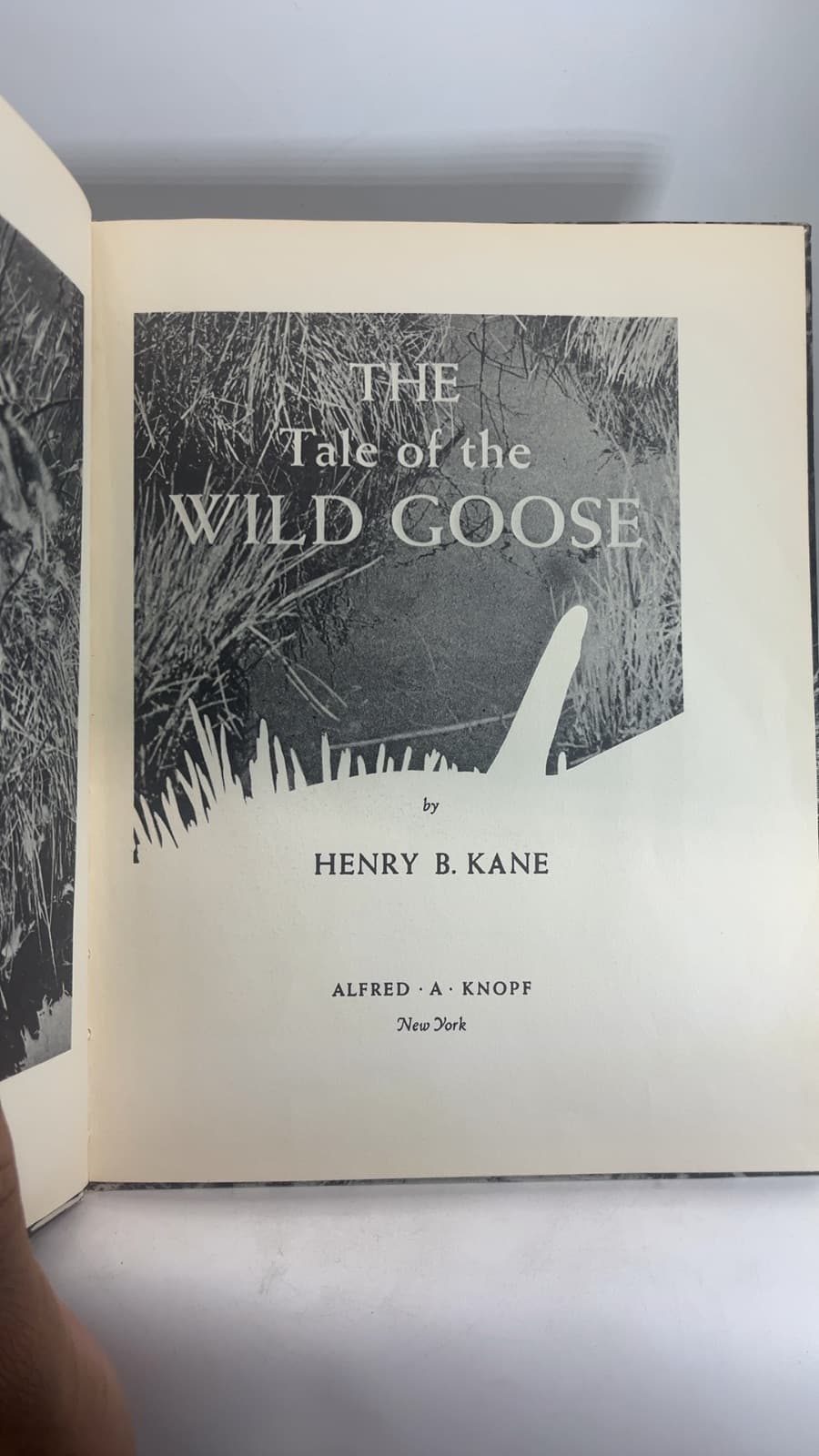 The Tale of the Wild Goose by Henry B. Kane - title page