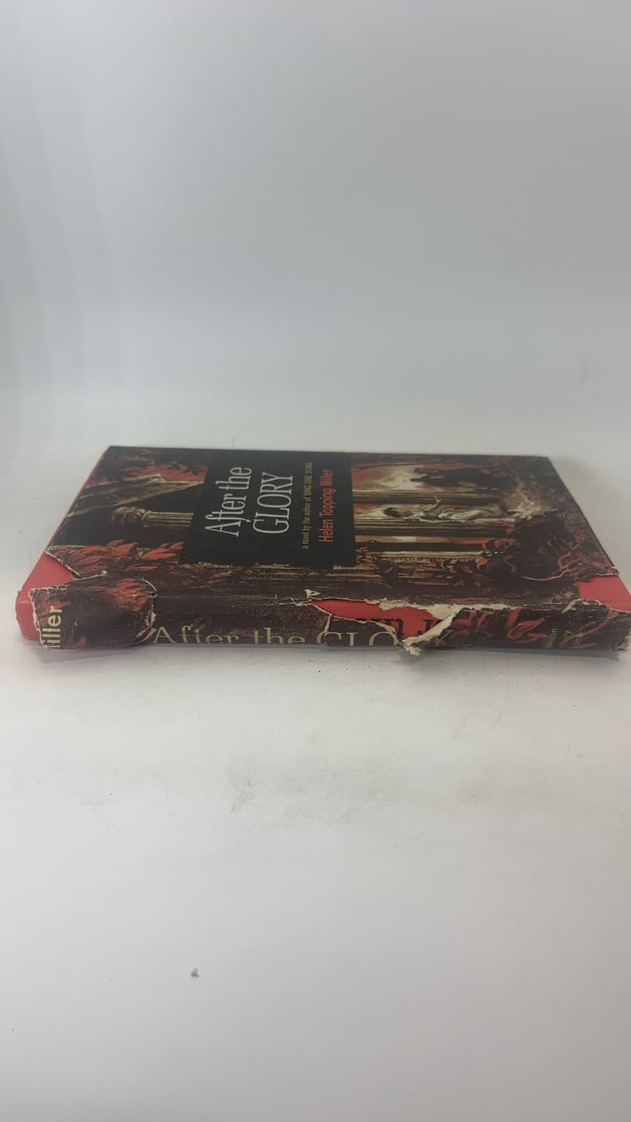 After the Glory by Helen Topping Miller - additional view