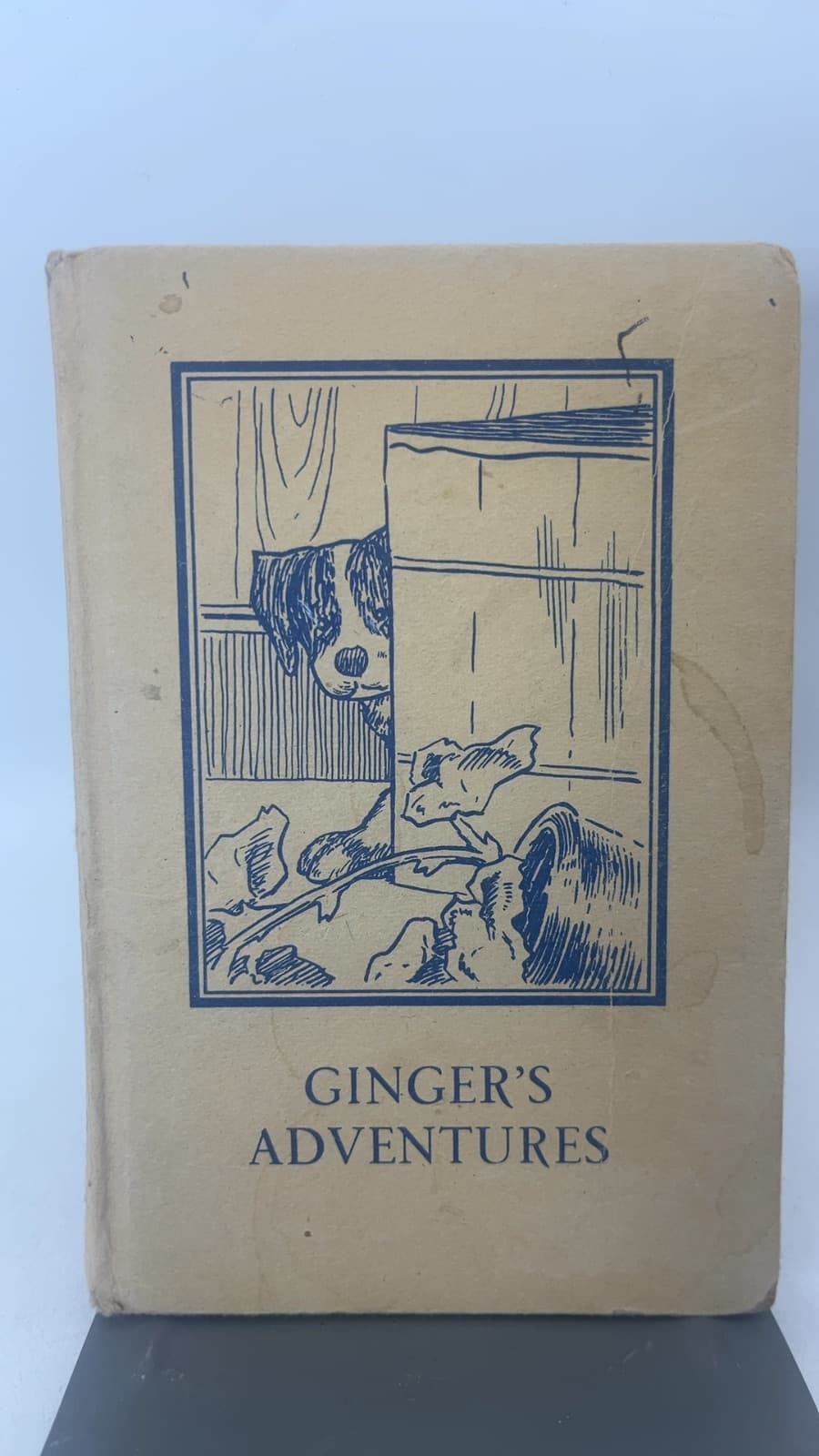 Ginger's Adventures by A. J. MacGregor, W. Perring - front cover