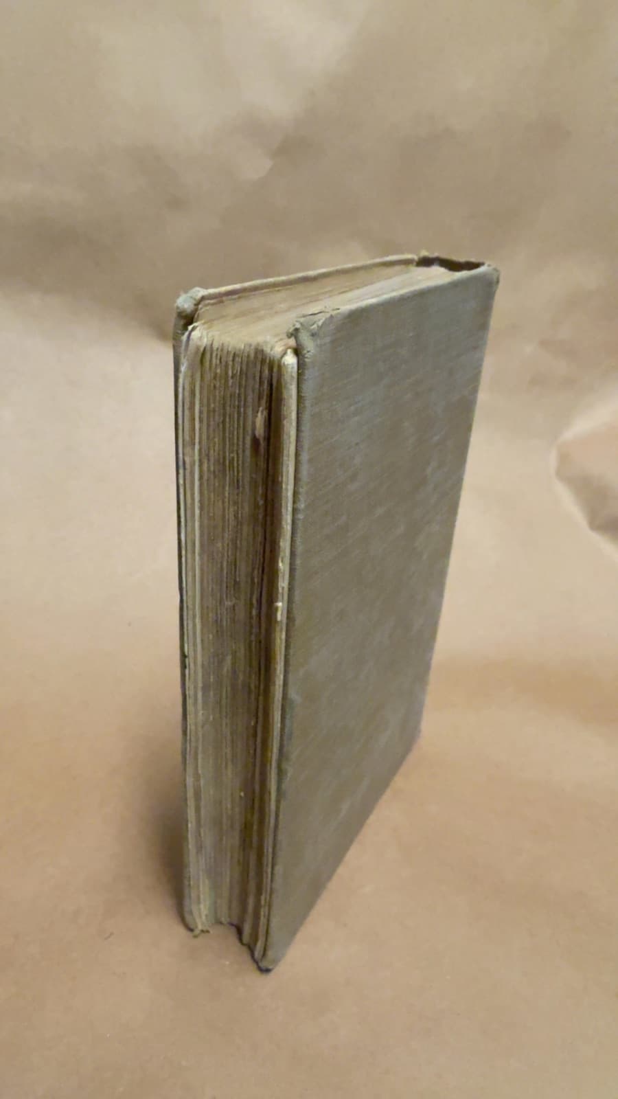 The Oregon Trail: Sketches of Prairie and Rocky-Mountain Life by Francis Parkman - additional view