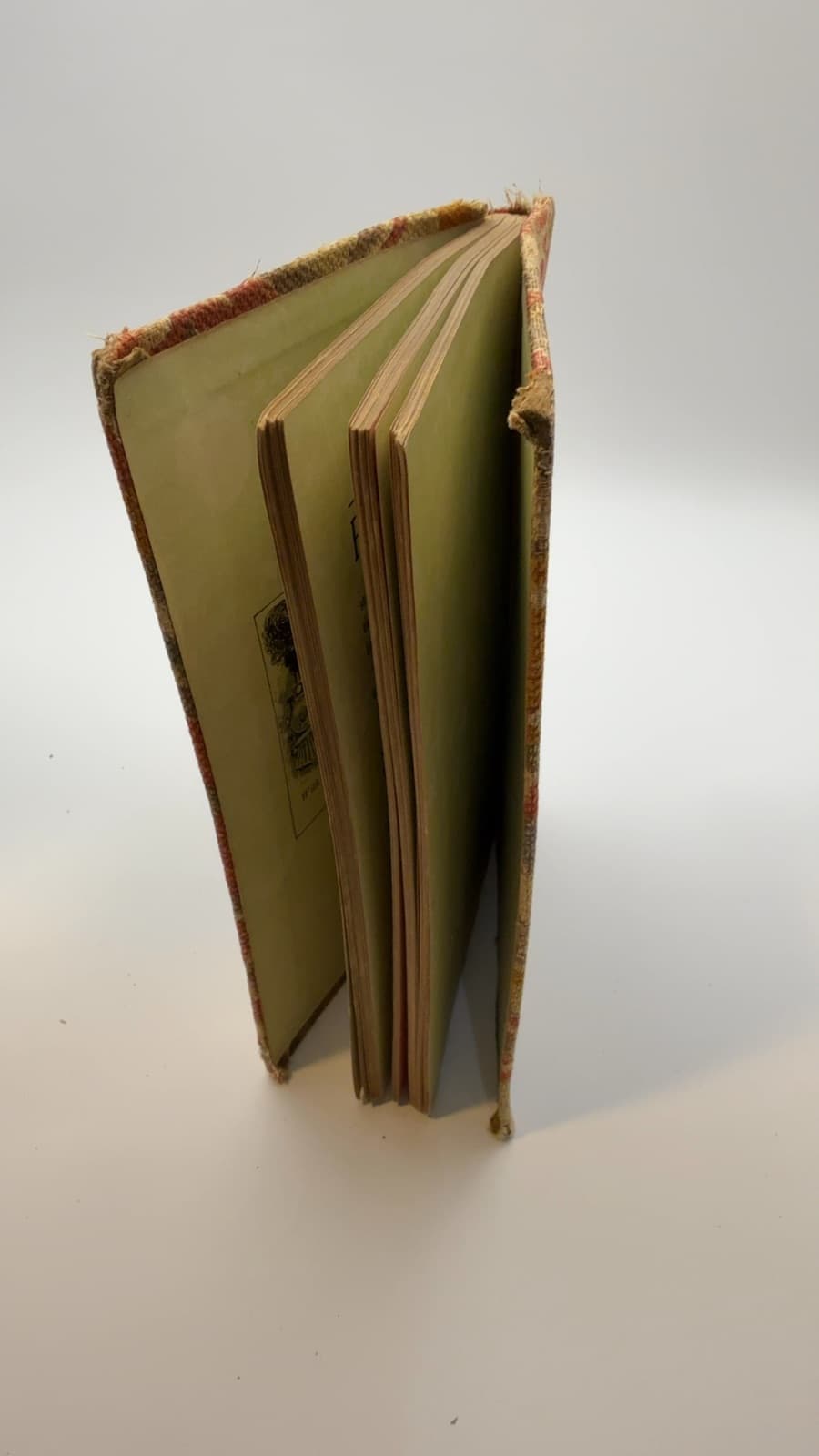 The Foolish Almanac by Theodor Rosyfelt - additional view