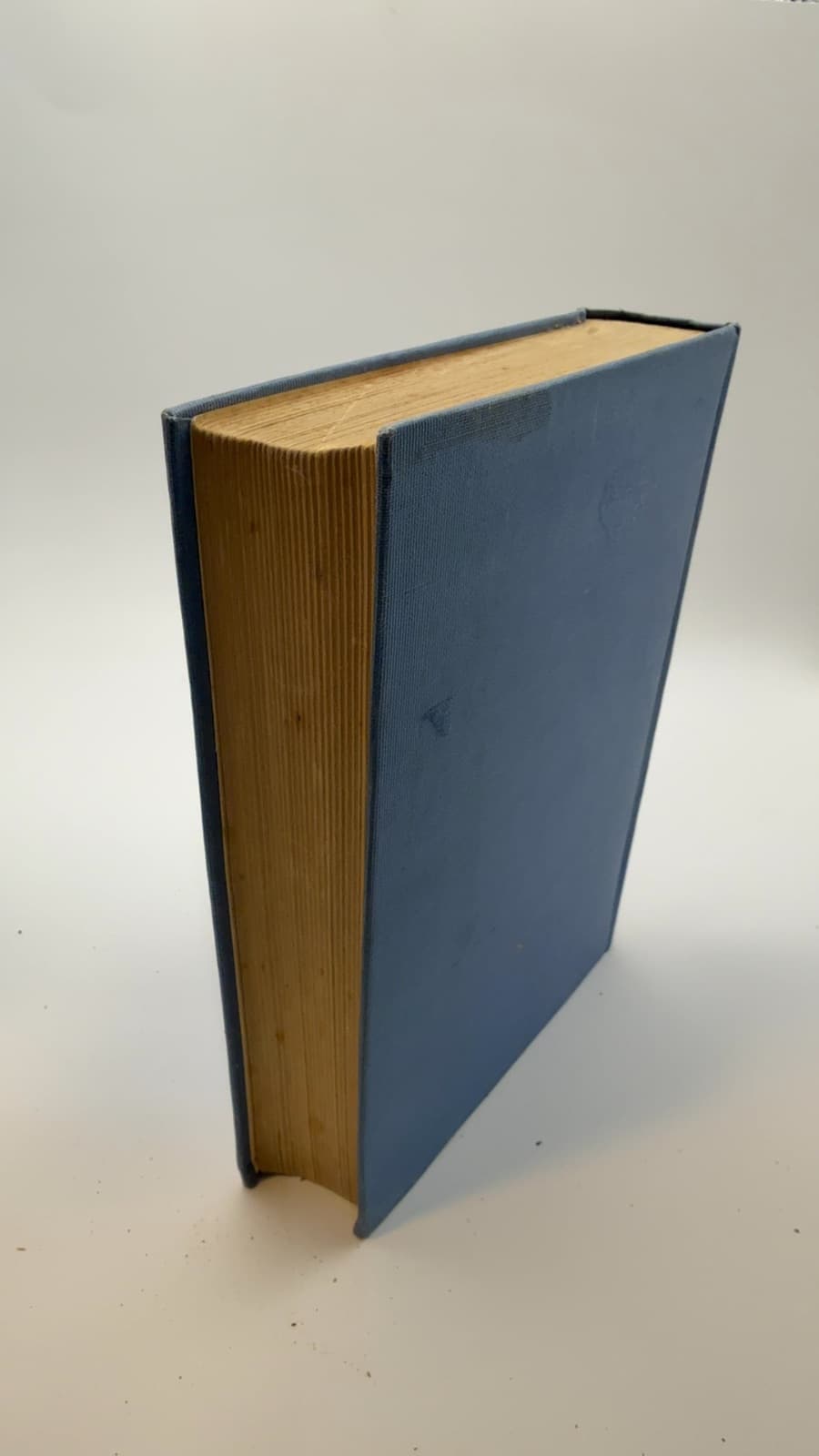 His Worldly Goods by Margaretta Tuttle - quarter view showing binding condition
