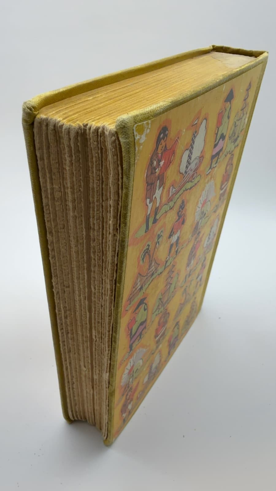 Eric the Red by Lida Siboni Hanson - quarter view showing binding condition