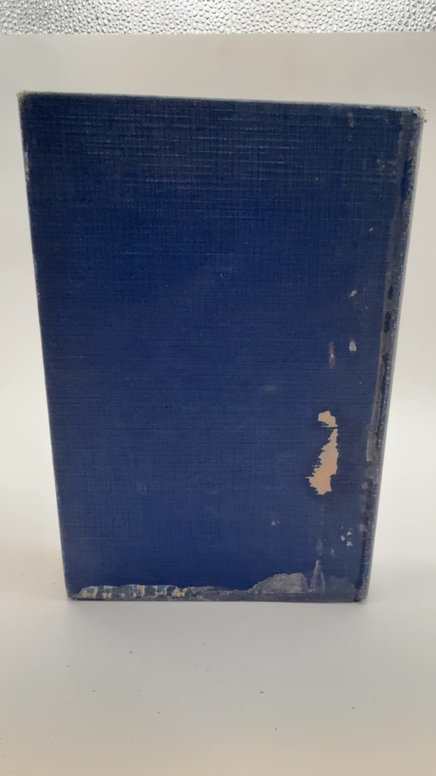 Settlers of the Marsh by Frederick Philip Grove - additional view
