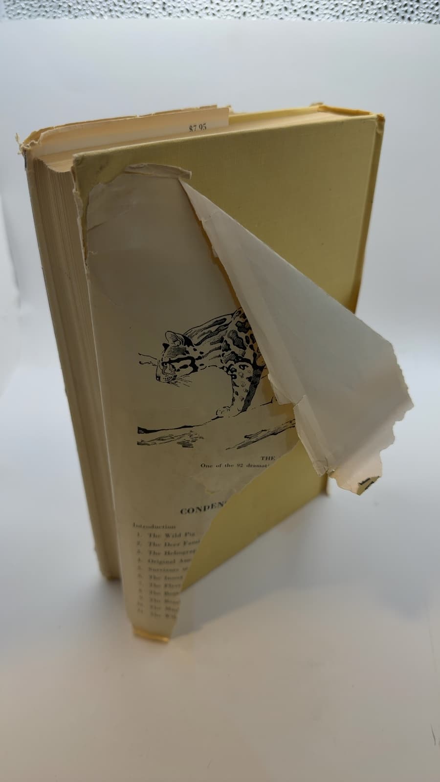 Mammals of North America by Victor H. Cahalane - quarter view showing binding condition