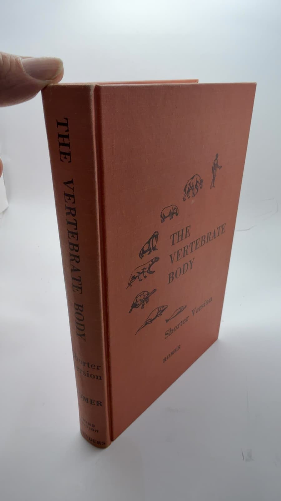 The Vertebrate Body: Shorter Version by Alfred Sherwood Romer - quarter view showing binding condition