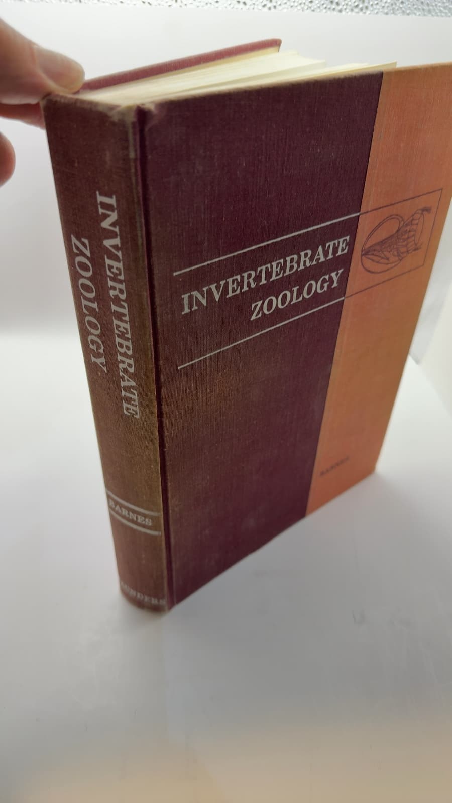 Invertebrate Zoology by Robert D. Barnes, Ph.d. - quarter view showing binding condition