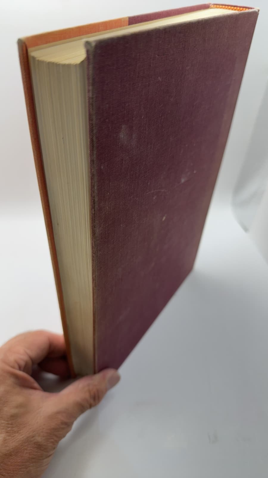 Invertebrate Zoology by Robert D. Barnes, Ph.d. - additional view