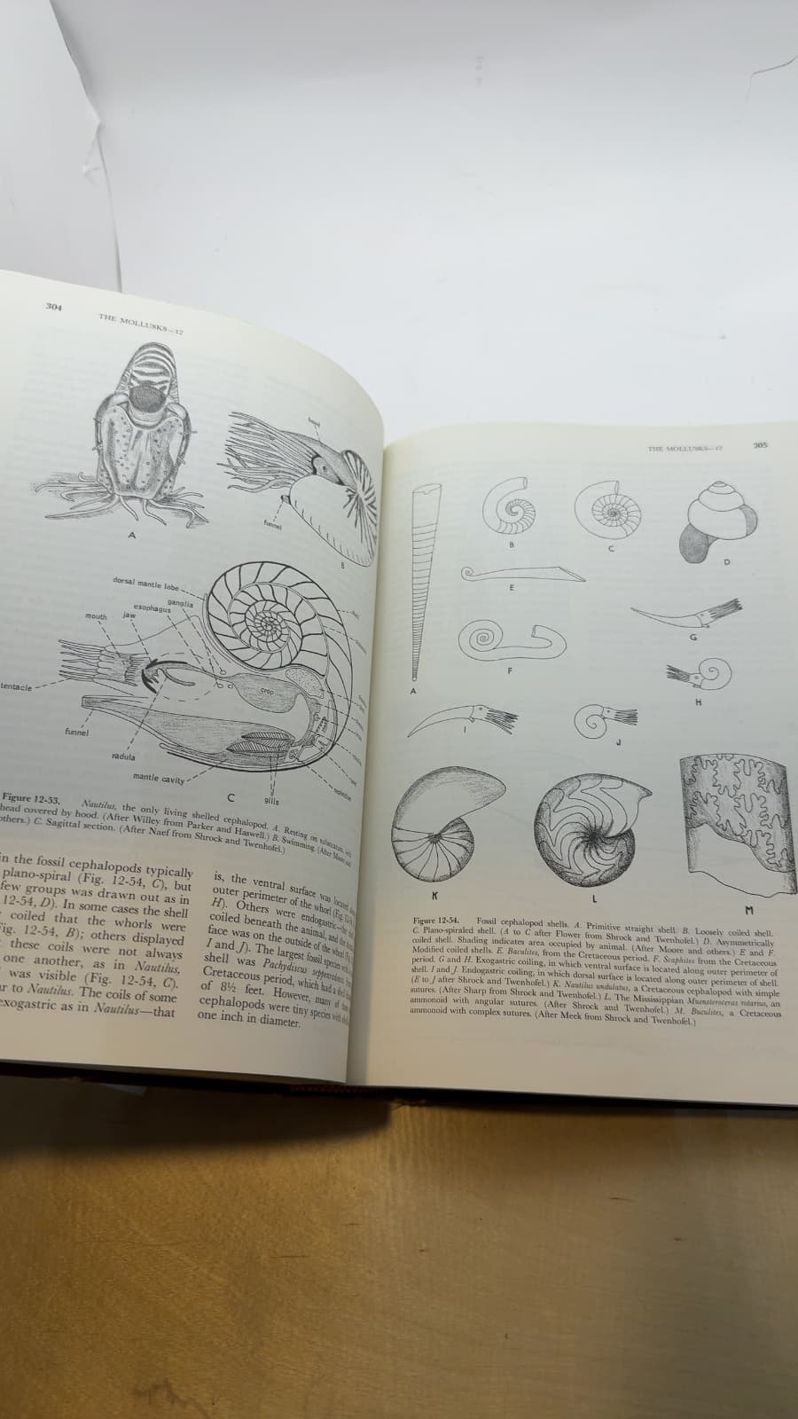Invertebrate Zoology by Robert D. Barnes, Ph.d. - additional view