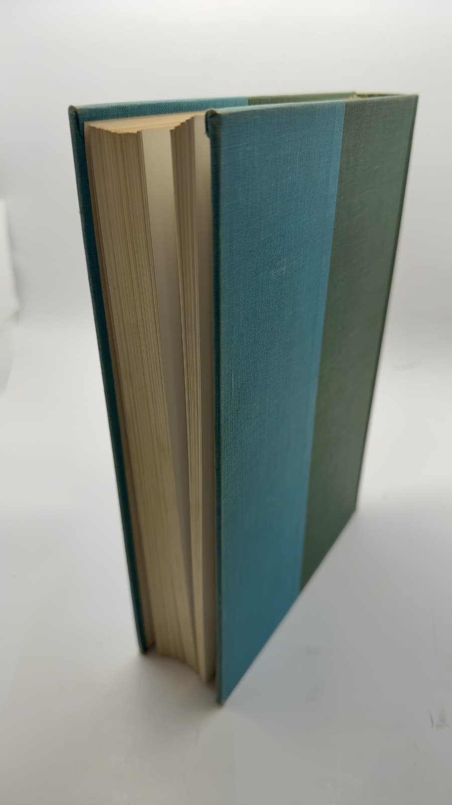 Introduction to Evolution by Paul Amos Moody - additional view