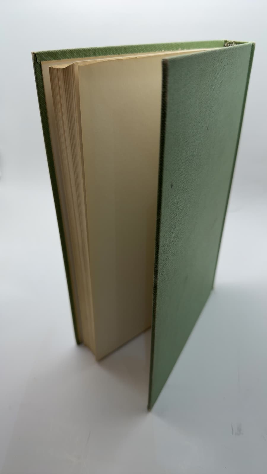 Fundamentals of Ecology by Eugene P. Odum in collaboration with Howard T. Odum - additional view