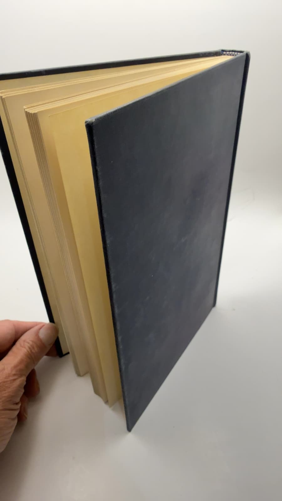 Introduction to the Theory of Determinants and Matrices by Edward Tankard Browne - additional view