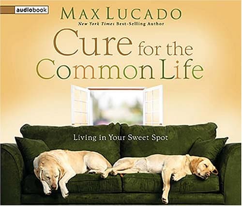 The Cure for the Common Life: Living in Your Sweet Spot Lucado, Max and Flynn, Mike by null