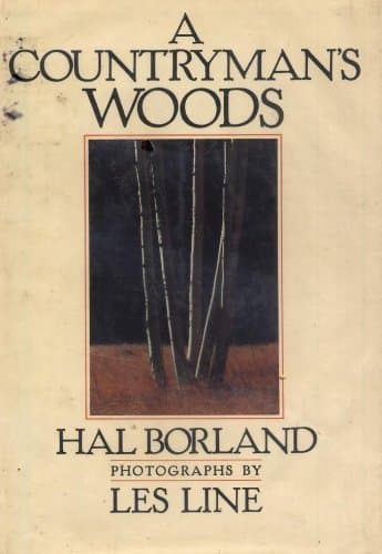 A Countryman's Woods