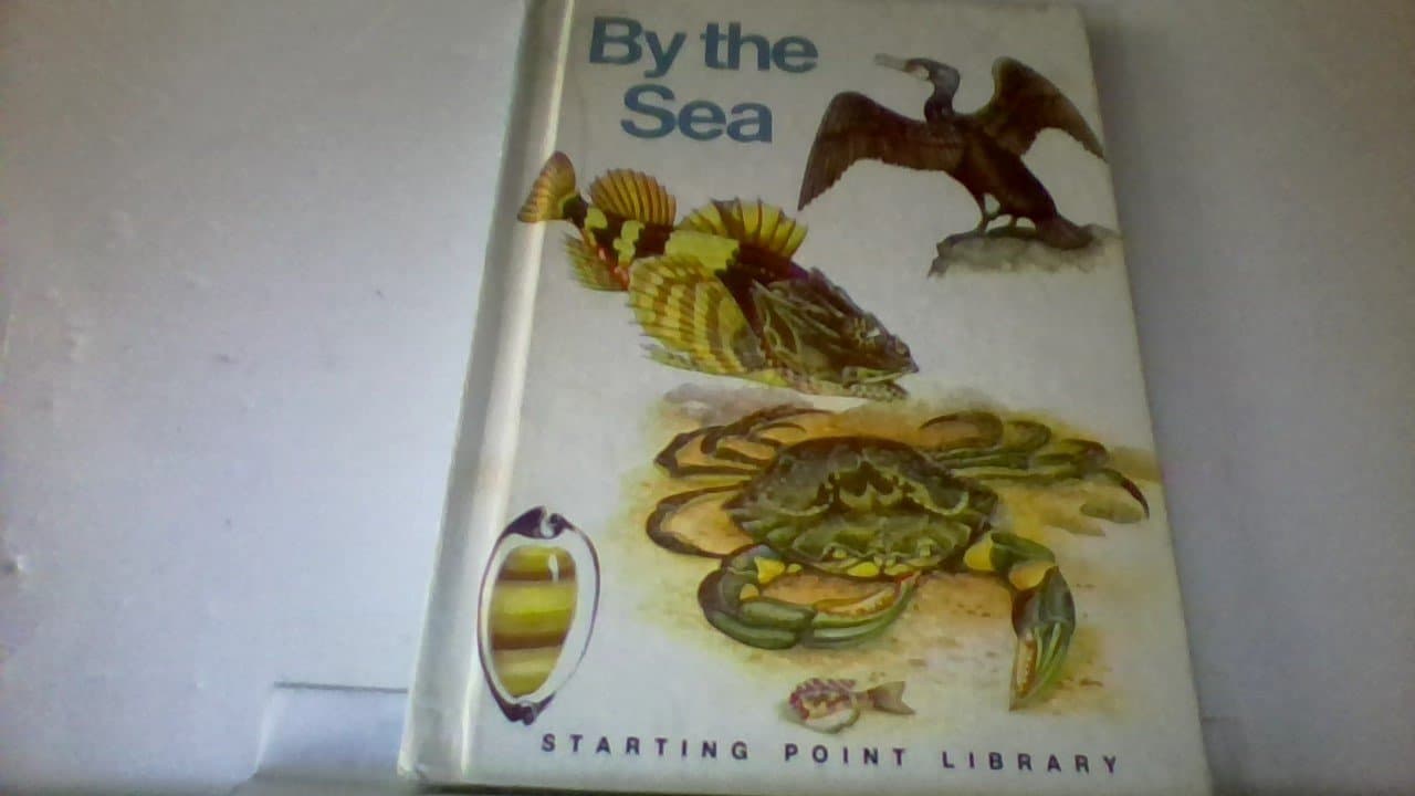 By the sea (The Starting point library) Dempsey, Michael W by null