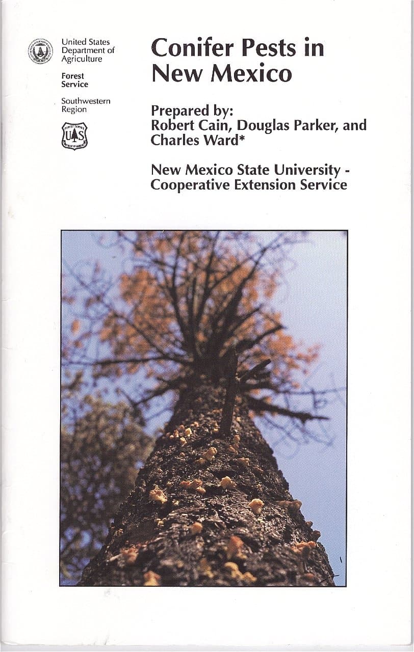 Conifer pests in New Mexico Cain, Robert by null