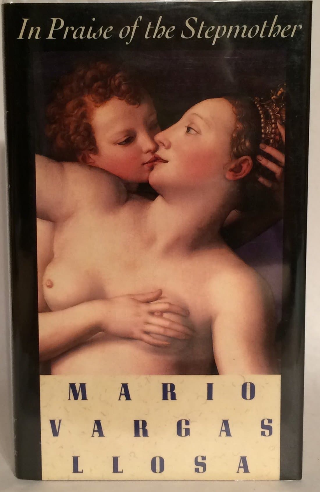 In Praise of the Stepmother Vargas Llosa, Mario and Lane, Helen by null