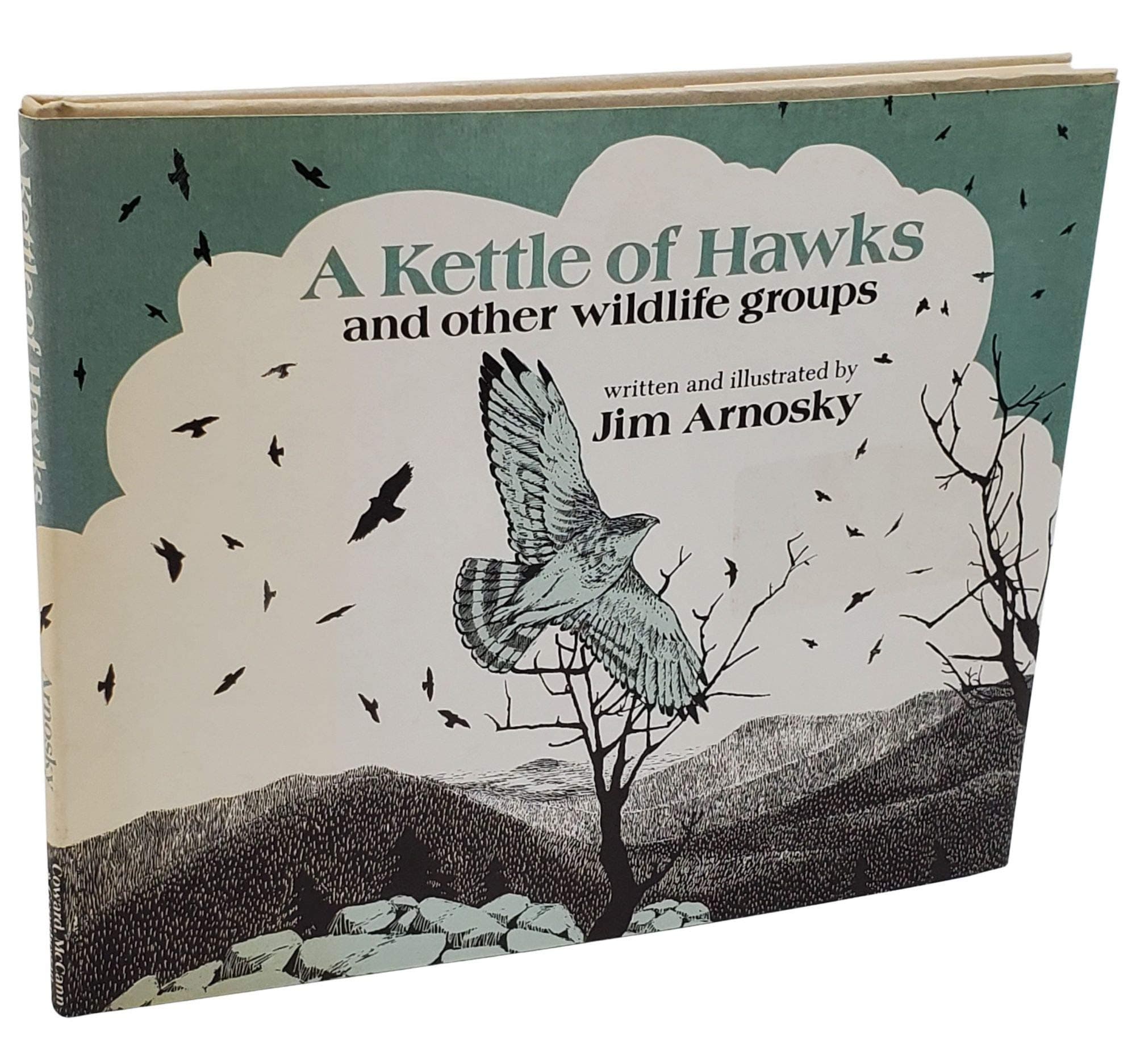 A kettle of hawks and other wildlife groups Arnosky, Jim by null