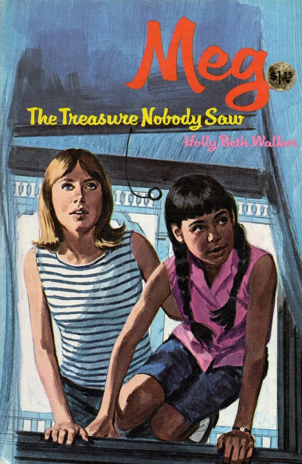 Meg and the Treasure Nobody Saw