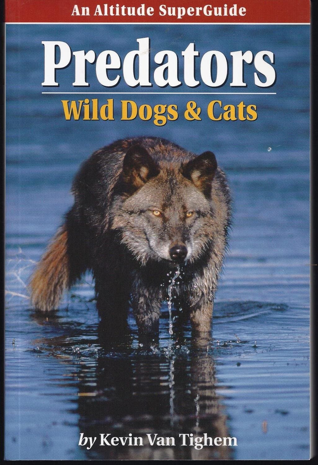 Predators, Wild Dogs & Cats Kevin Van Tighem by null