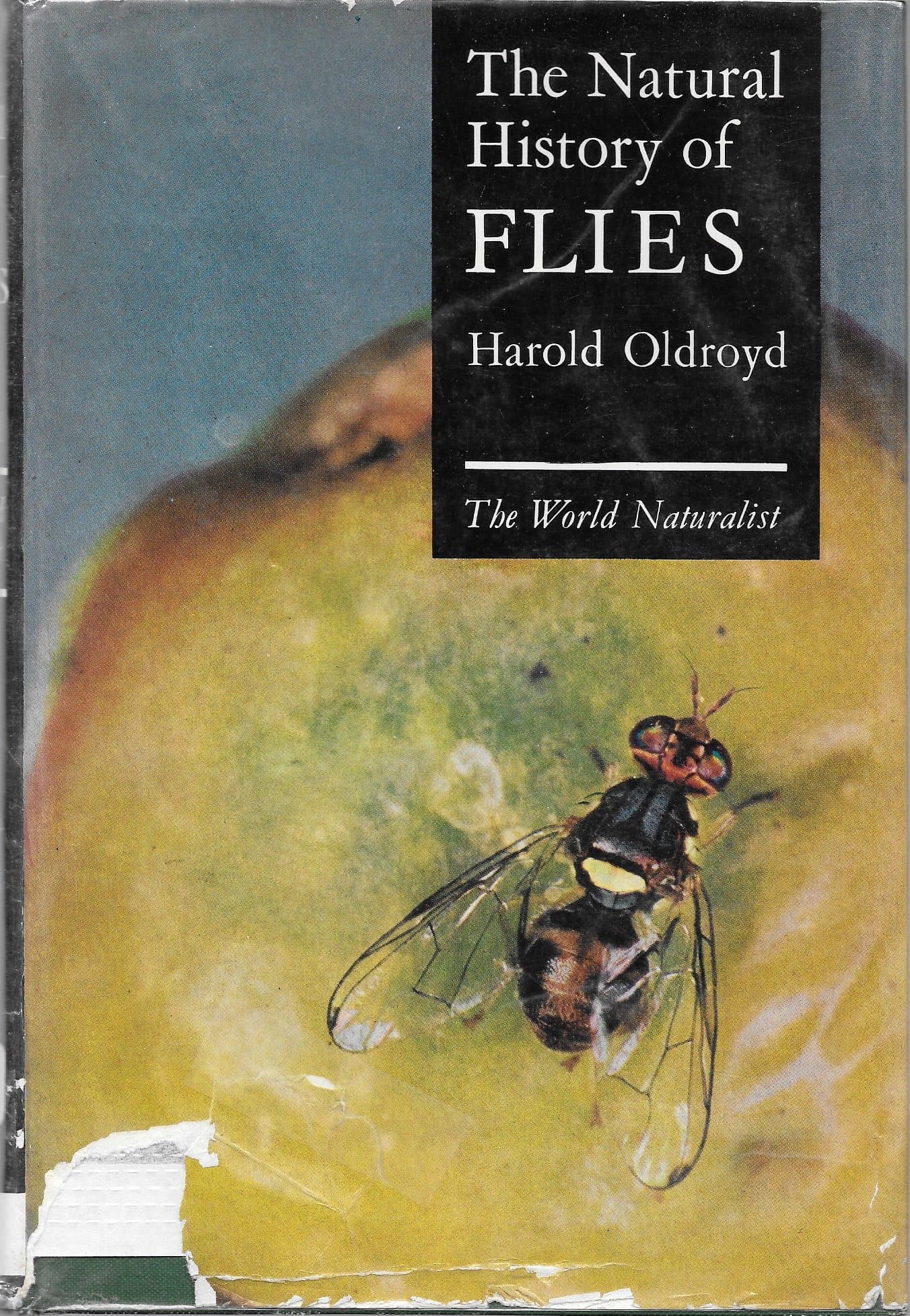 The natural history of flies (The World naturalist) Oldroyd, Harold by null