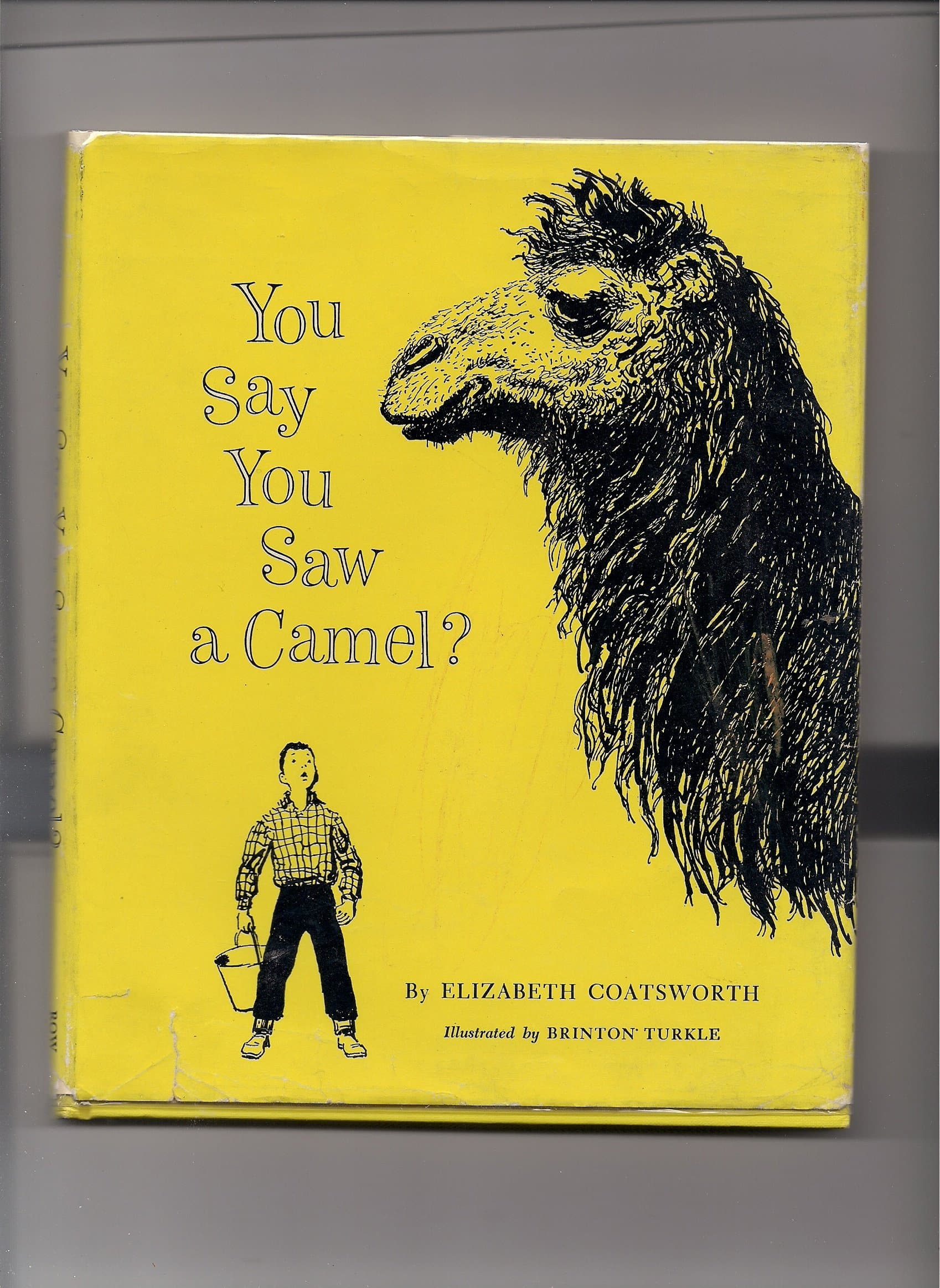 You say you saw a camel? Coatsworth, Elizabeth Jane by null