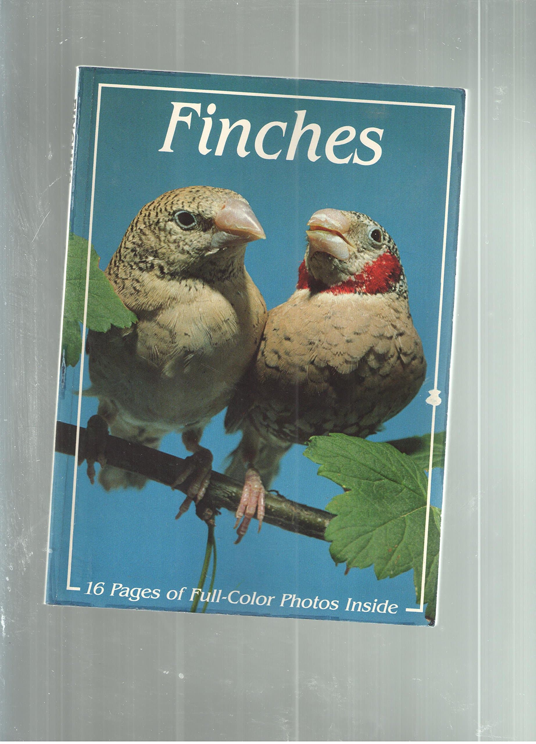 Finches Soderberg, Pearcy Measday by null