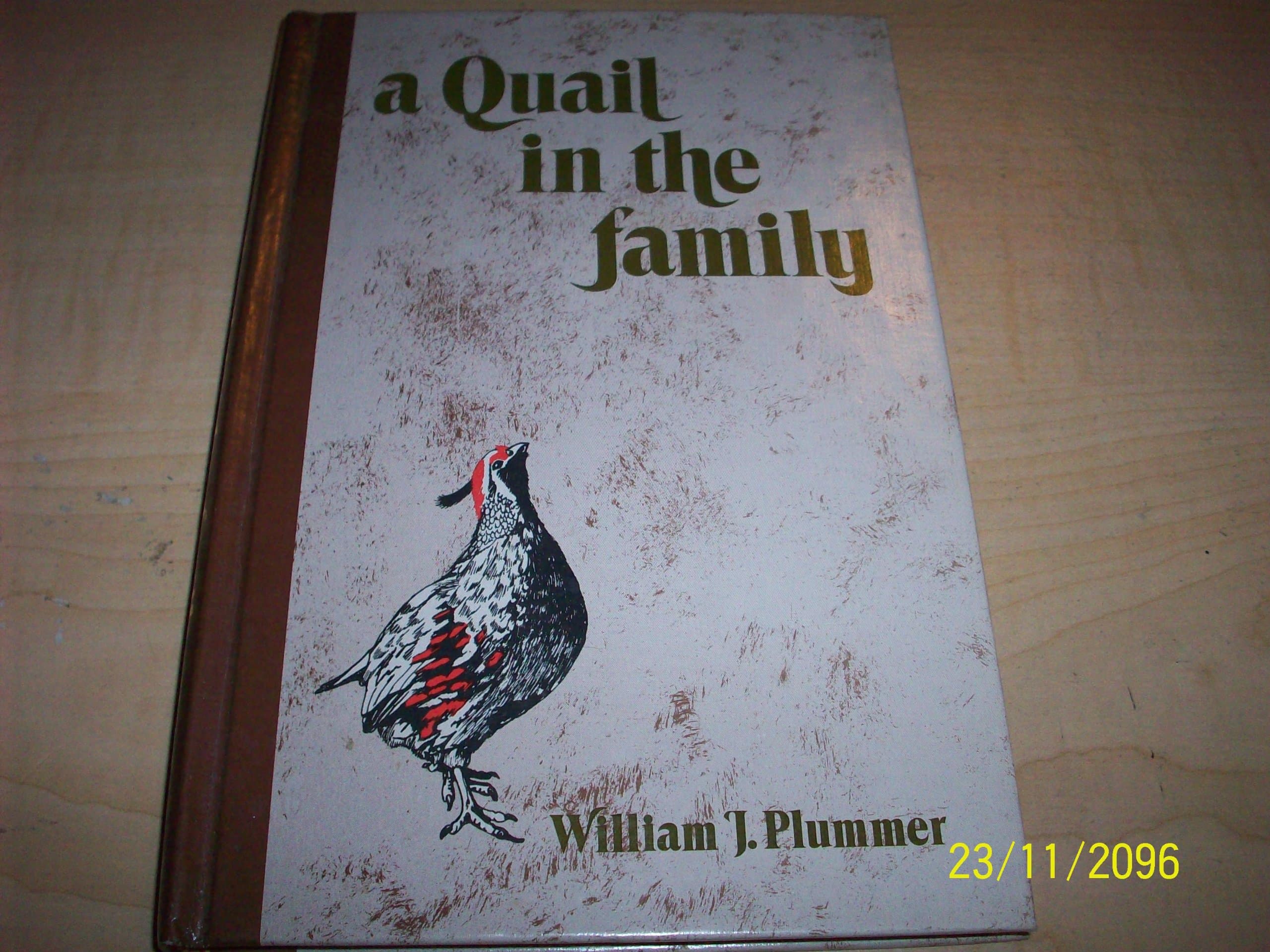 A Quail in the Family William J. Plummer by null