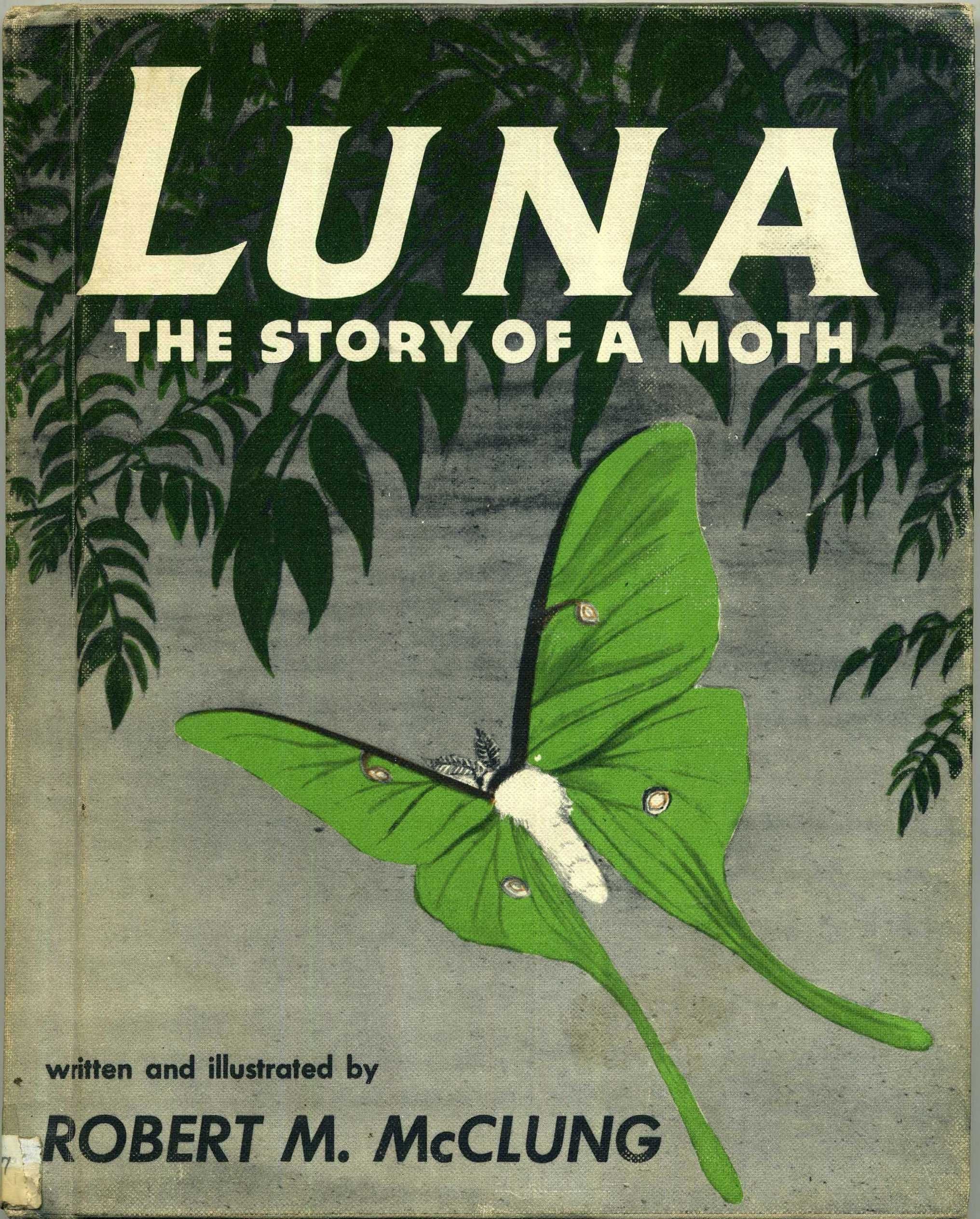 Luna, the story of a moth McClung, Robert M by null