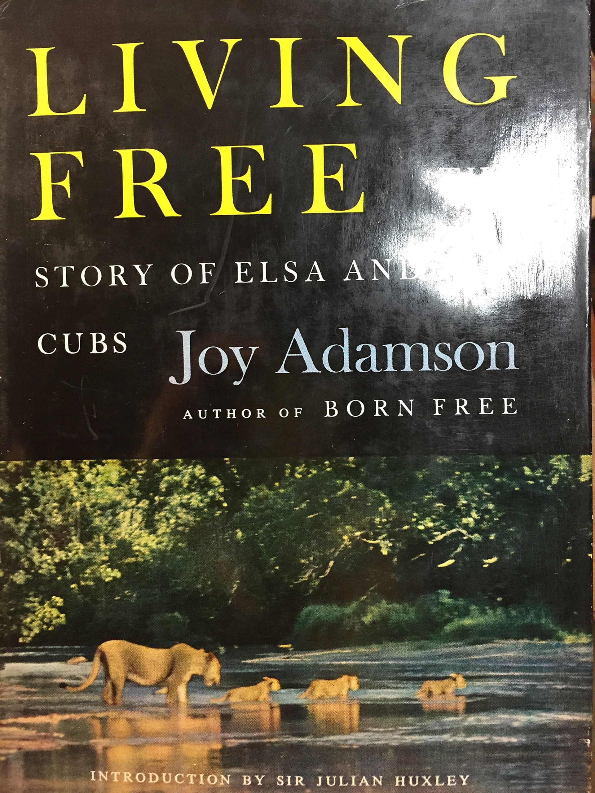 Living Free; the Story of Elsa and Her Cubs