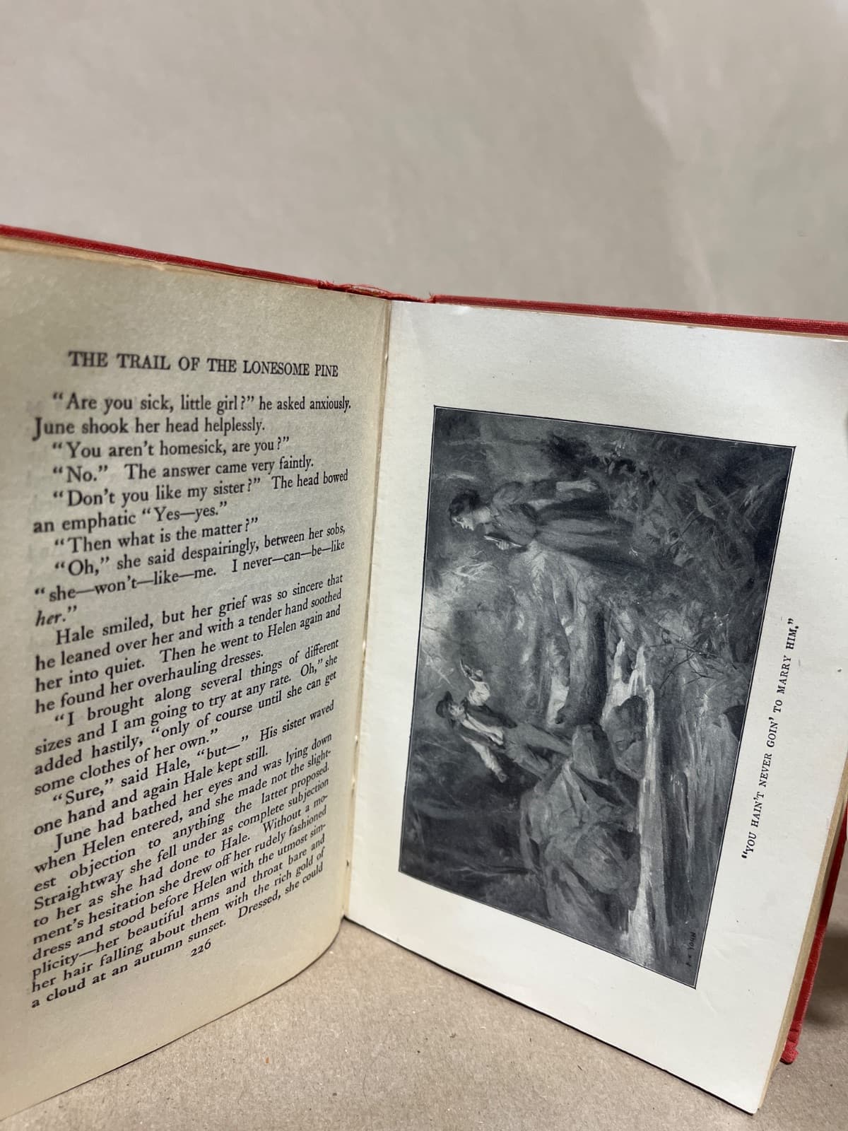 The Trail of the Lonesome Pine by John Fox, Jr. - additional view