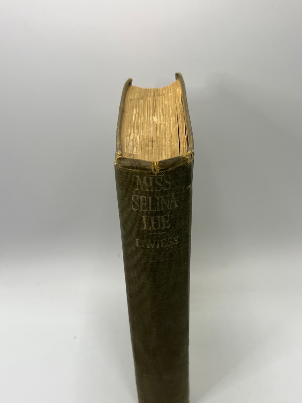 Miss Selina Lue by Maria Thompson Daviess - additional view