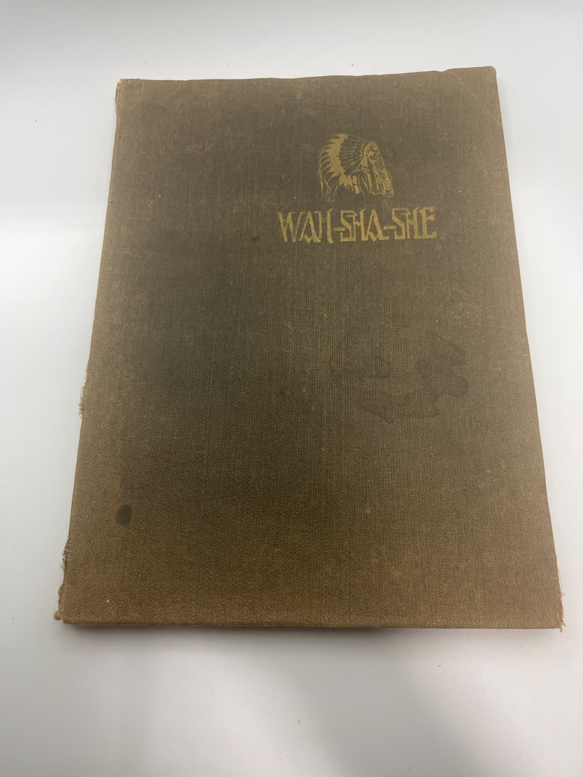 WAH-SHA-SHE - 1917 Yearbook - front cover