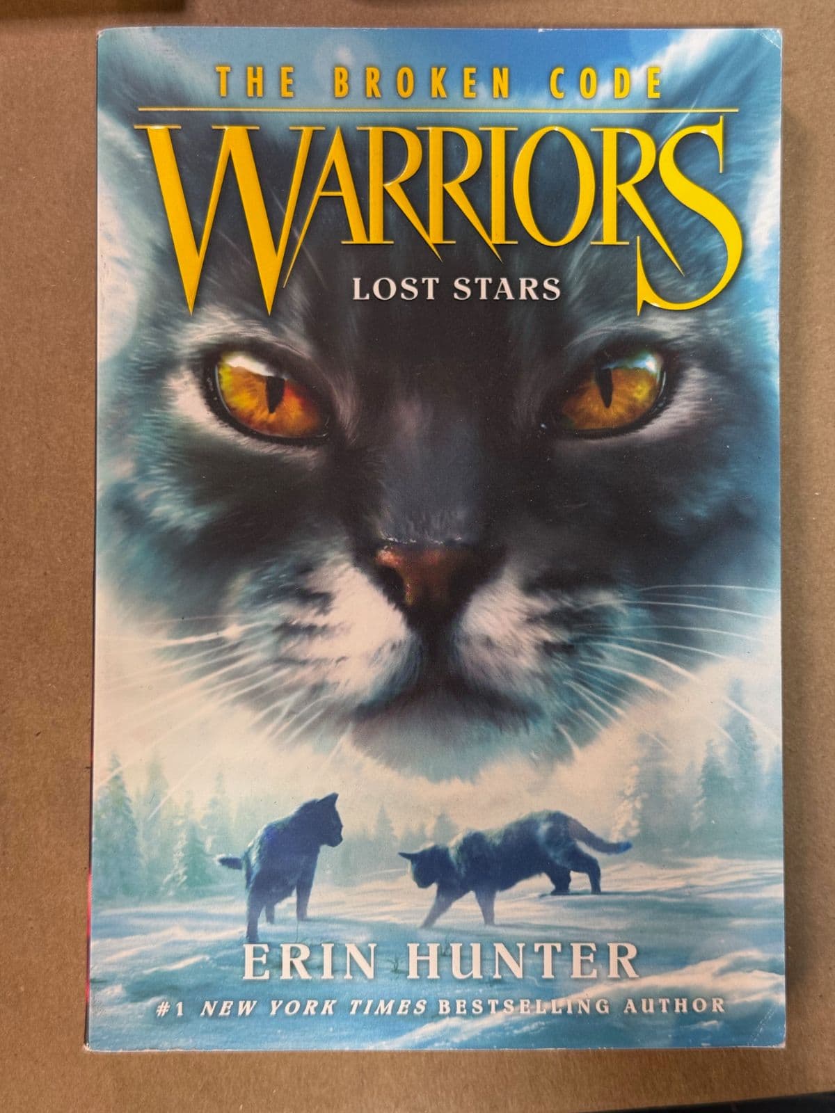 Warriors: Lost Stars by Erin Hunter - front cover
