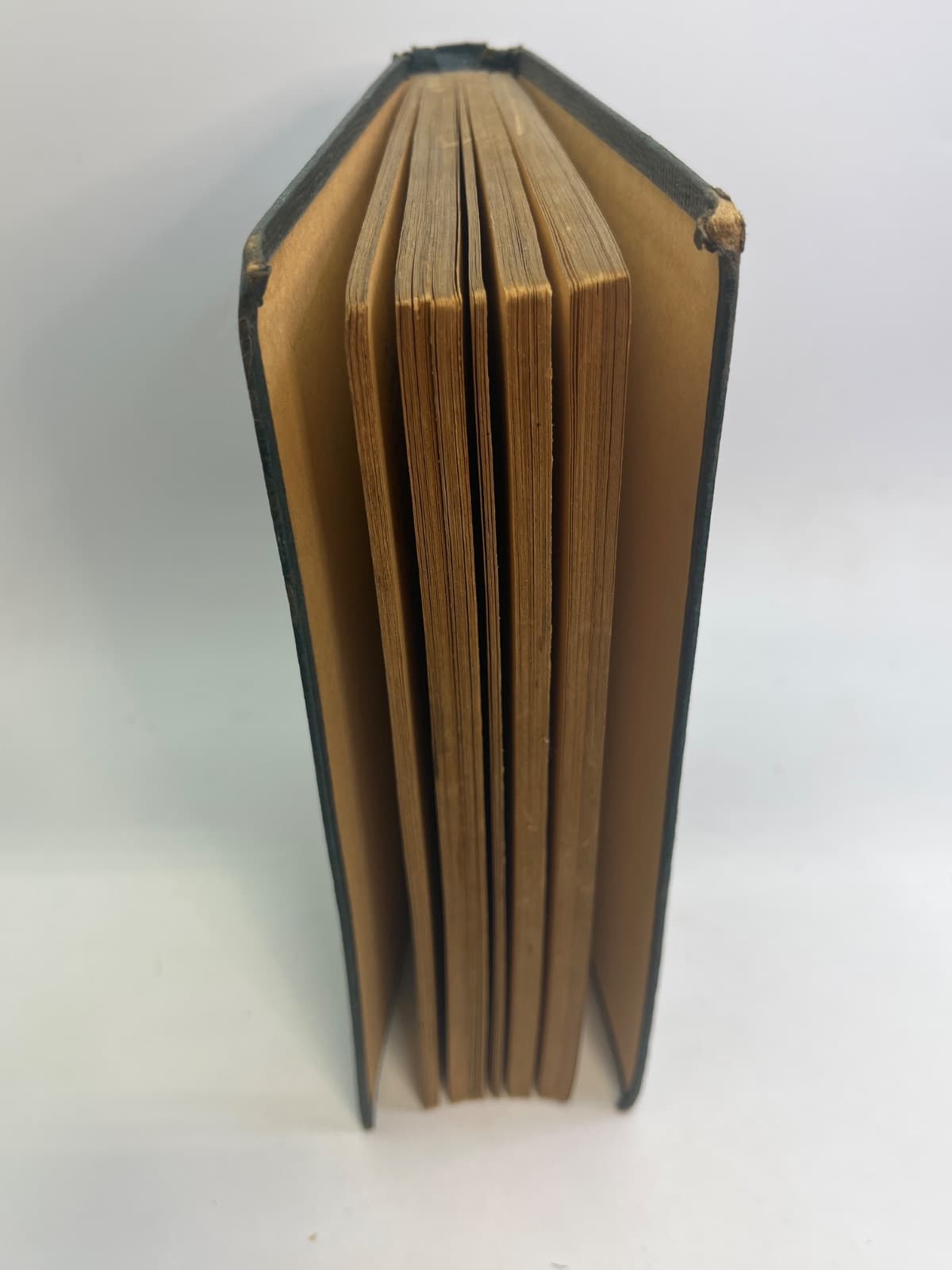 Red Ryder and the Secret of Wolf Canyon by S. S. Stevens - additional view