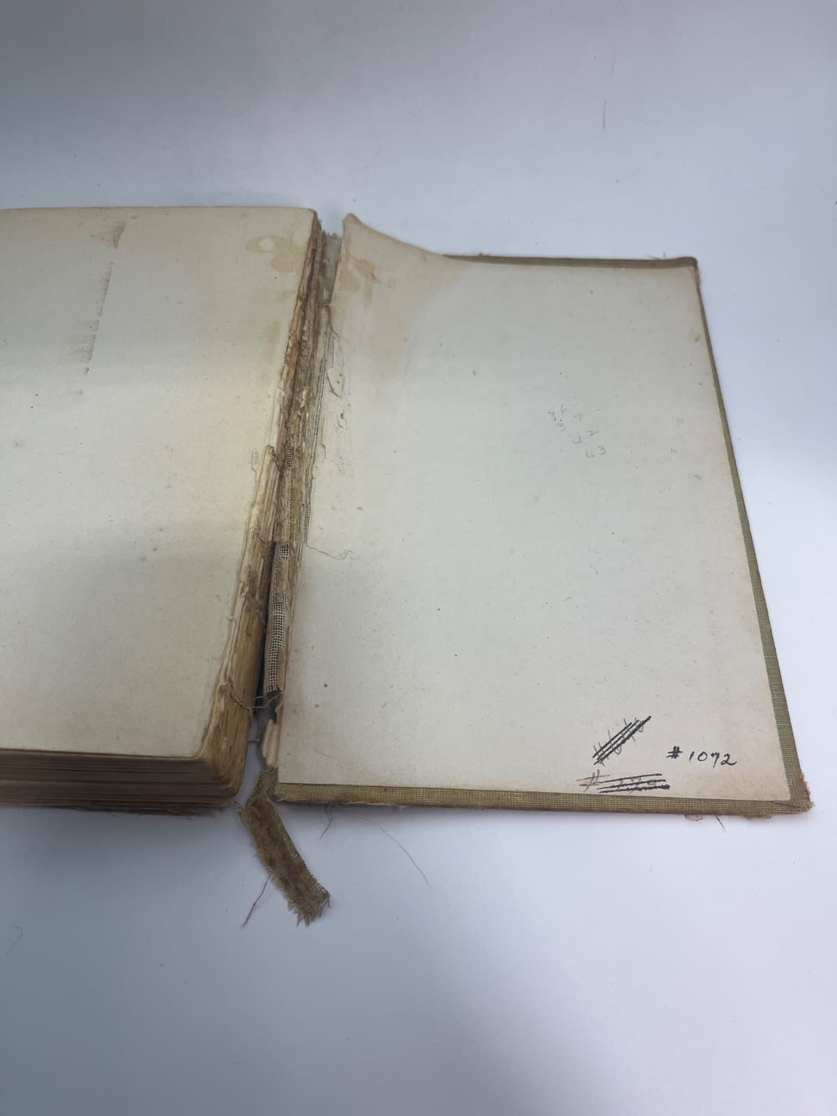 Cora, The Pet of the Regiment - ANTIQUE by Laura Jean Libbey - additional view