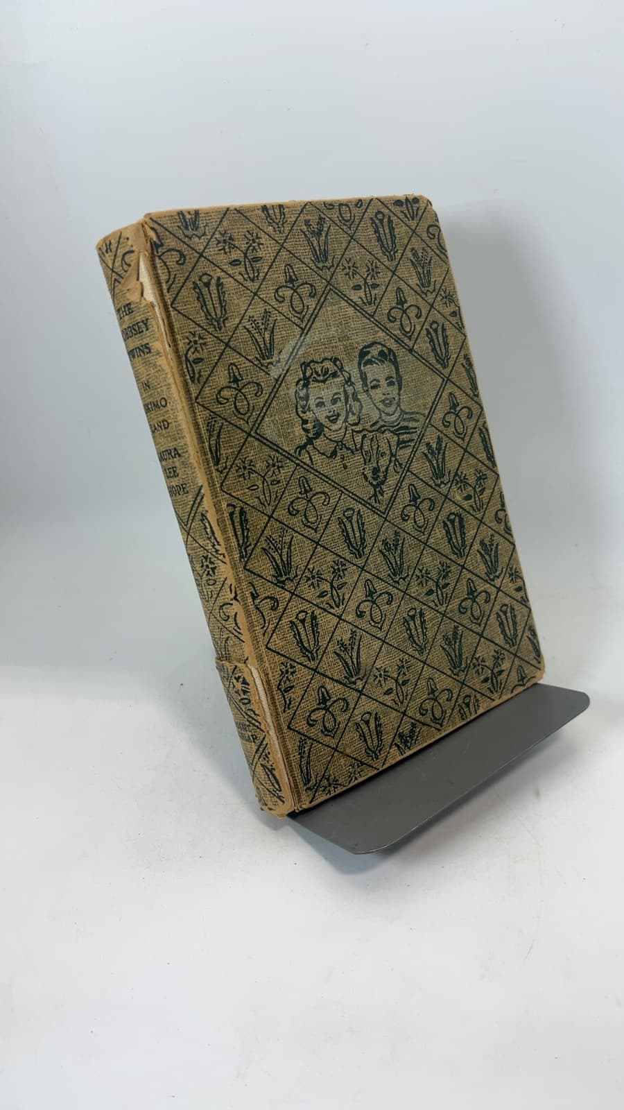 The Bobbsey Twins In Eskimo Land by Laura Lee Hope - front cover