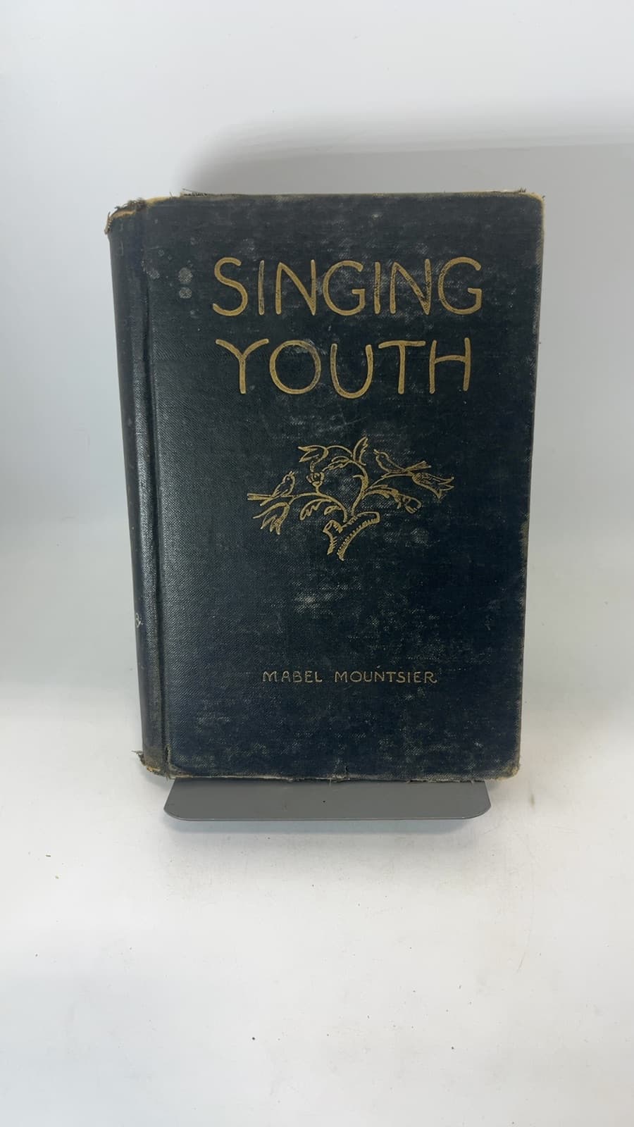 Singing Youth by Mabel Mountsier - front cover